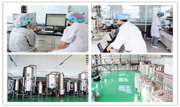 إيزومالتوليغوساكاريد 900 ألياف نباتية قابلة للذوبان منخفضة الكربوهيدرات 4